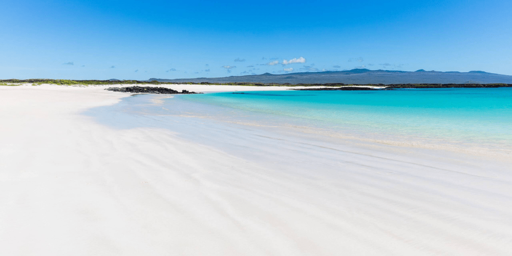 Why Visit the Galapagos Islands