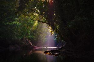 Adventure Tours