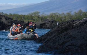 alya galapagos