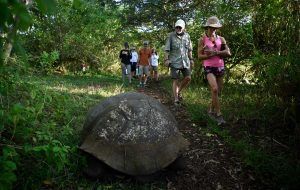 alya galapagos