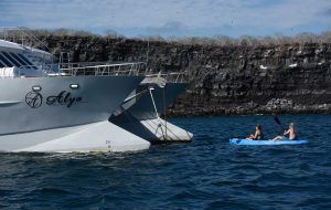 alya galapagos