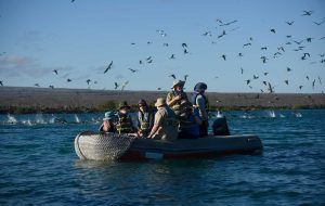 alya galapagos