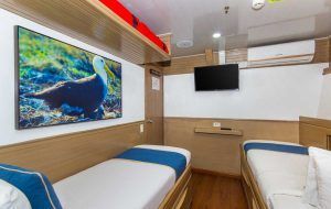 calipso-cabin-double-bed