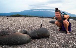 Experiences - Sea Lion - Nature Paradise Yacht