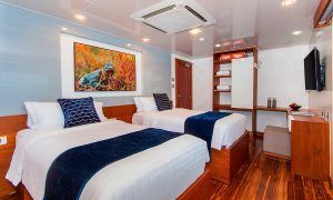 infinity yacht galapagos