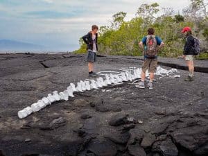 Galapagos Hike Latin Adventures