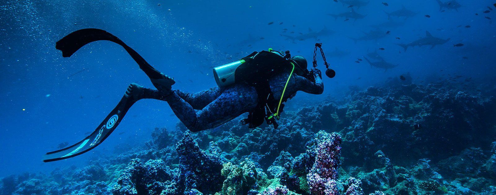 galapagos scuba diving tours
