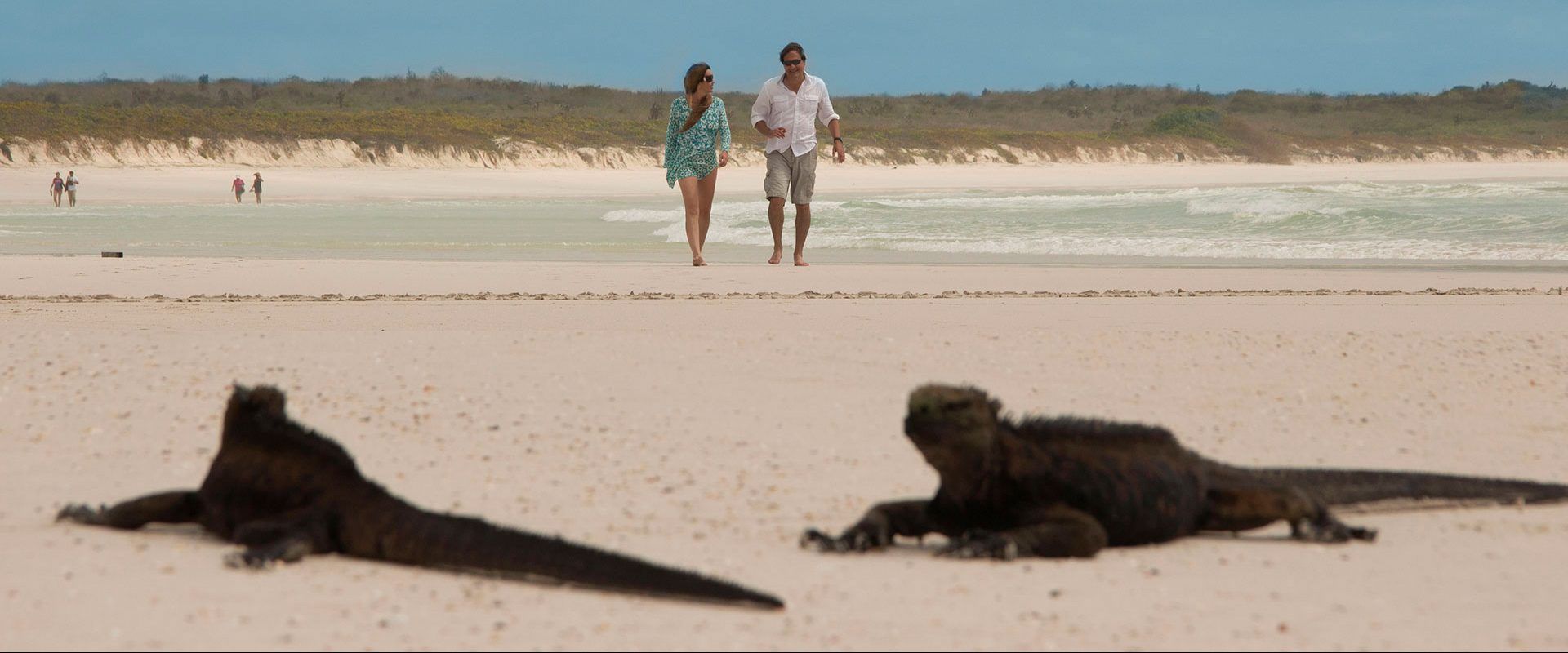 Best Galapagos Day Tours