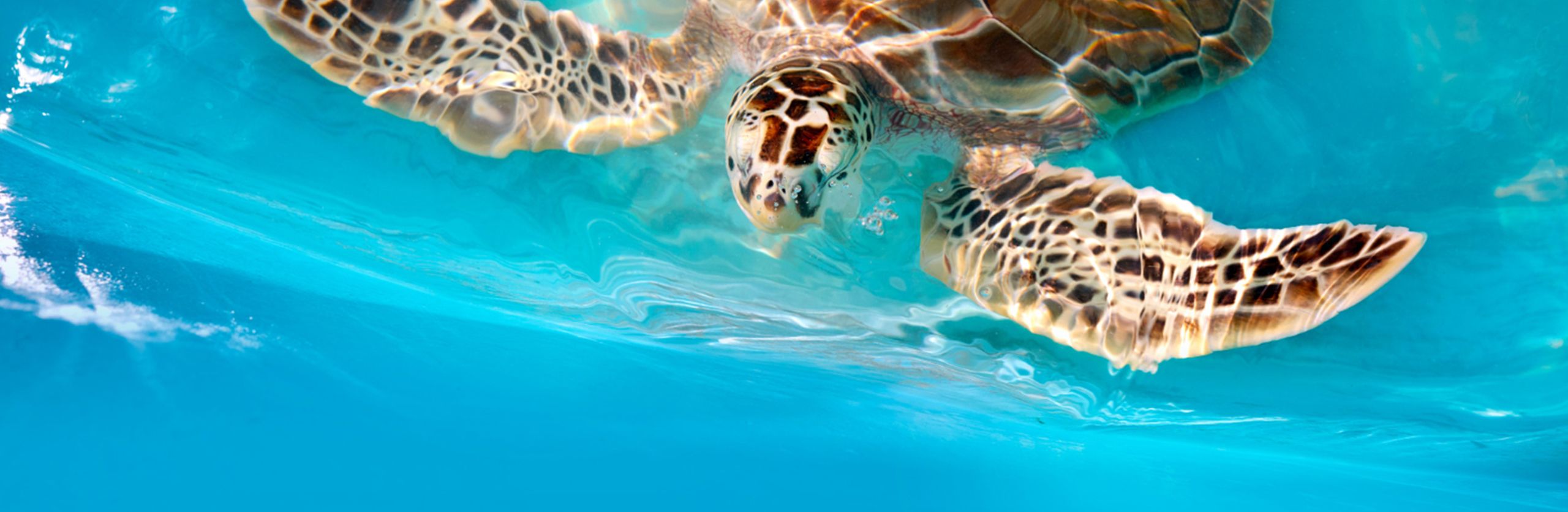 Book your trip to Ecuador