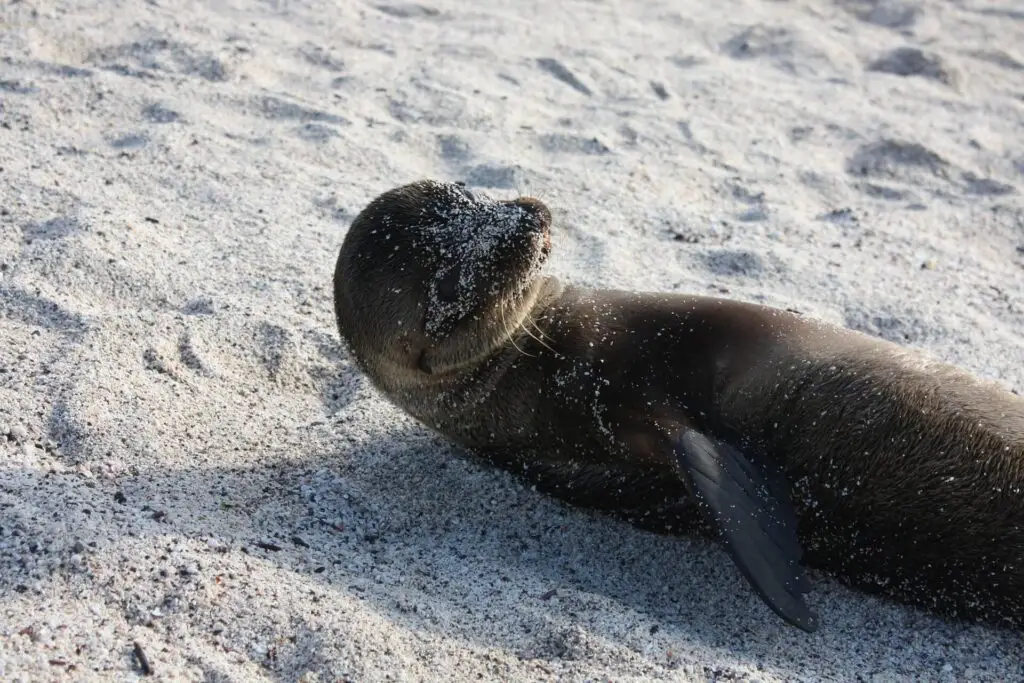 Galapagos nature tour