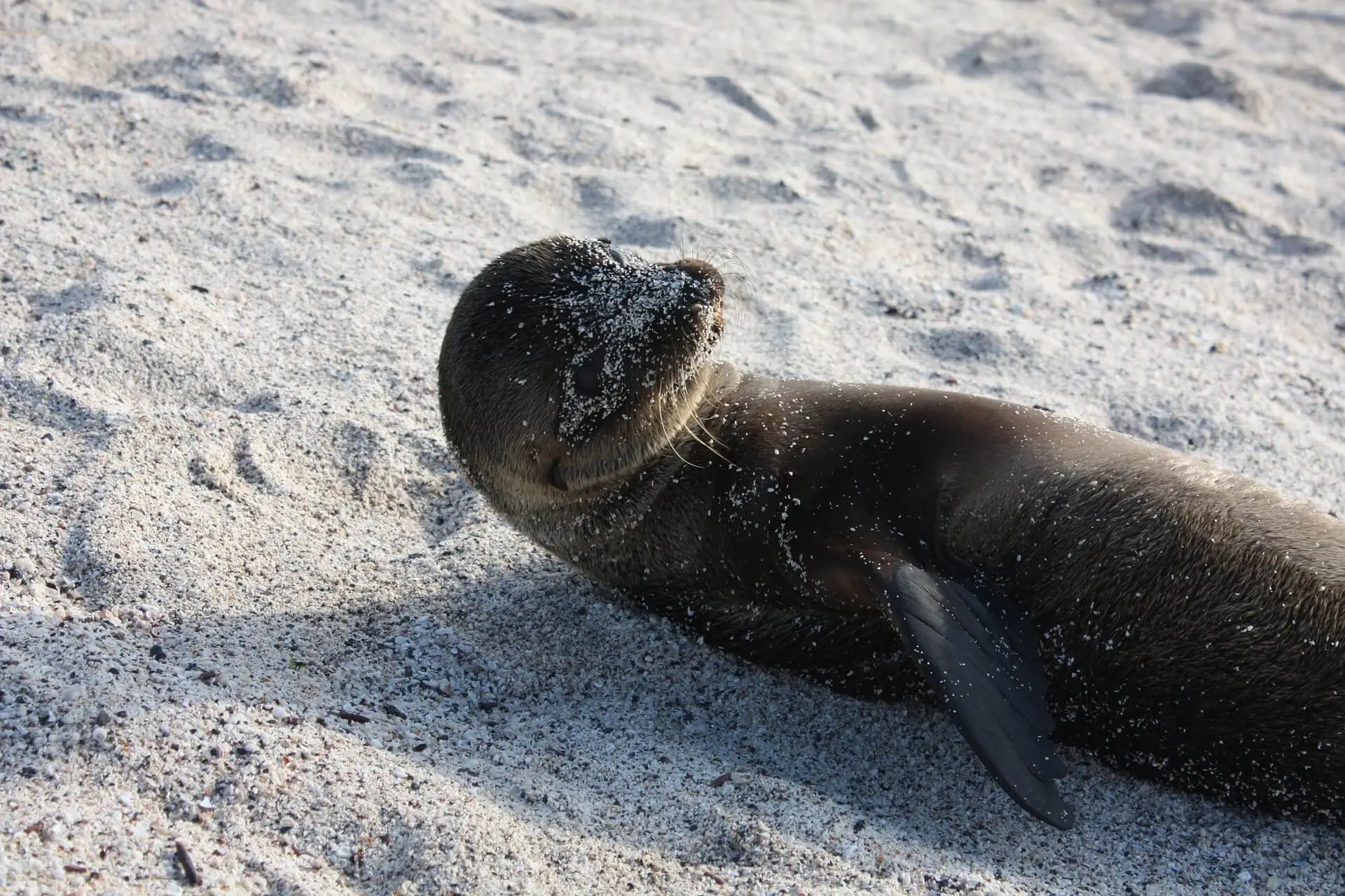 Galapagos nature tour