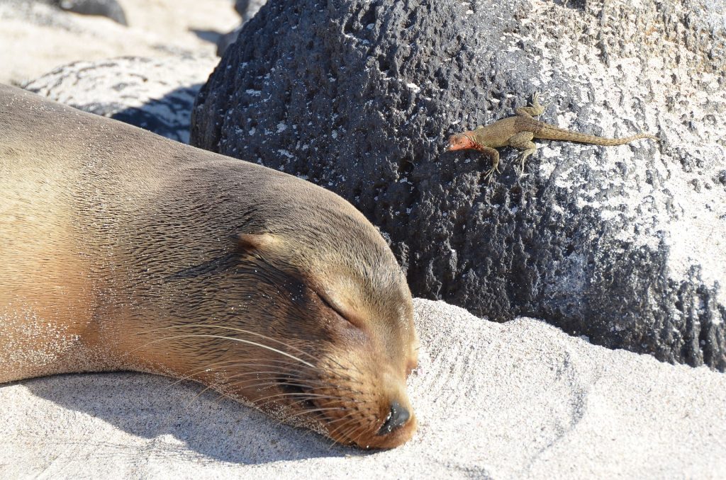 galapagos 5 day tour