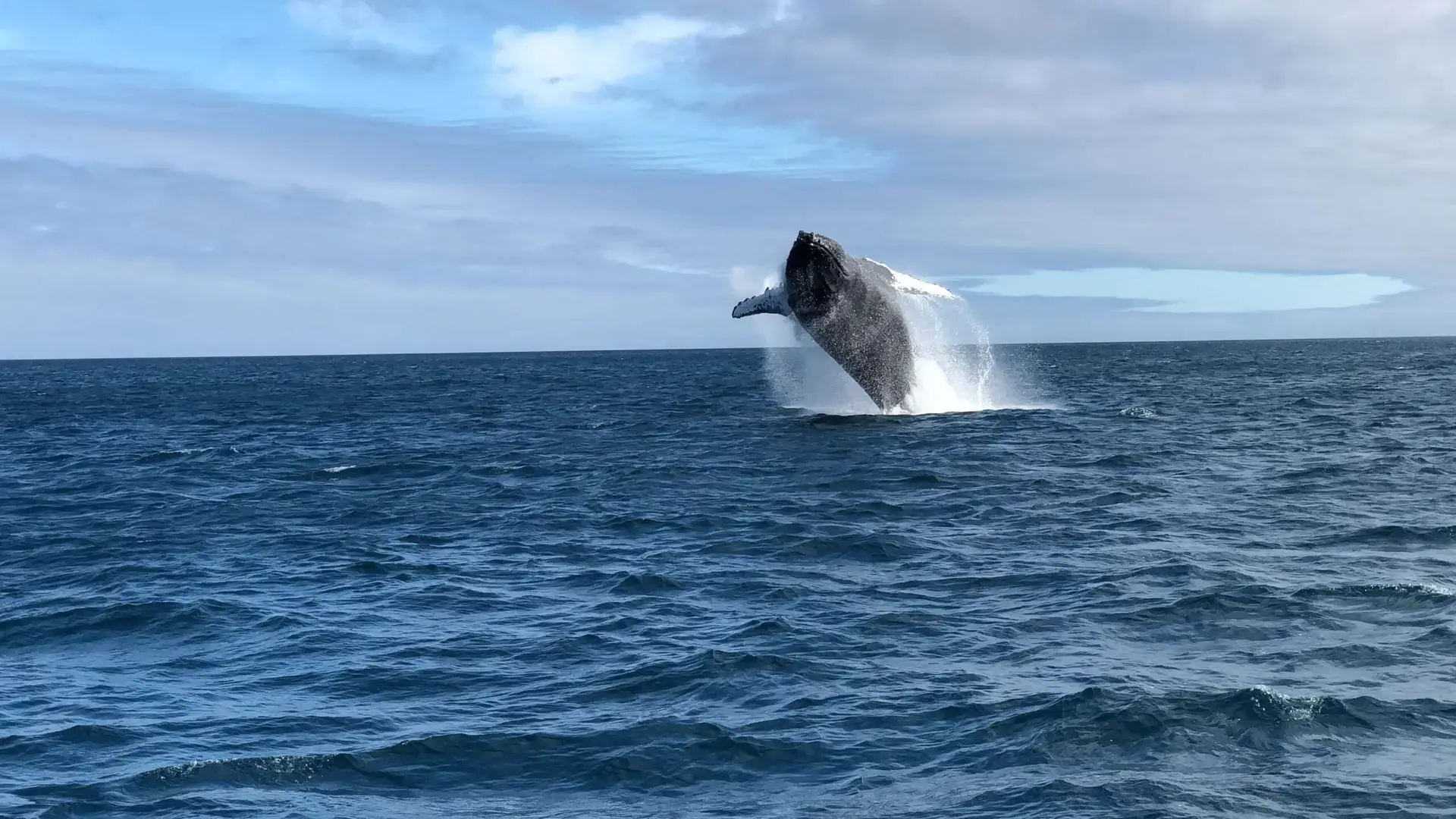 5 day san cristobal and santa cruz island hopping