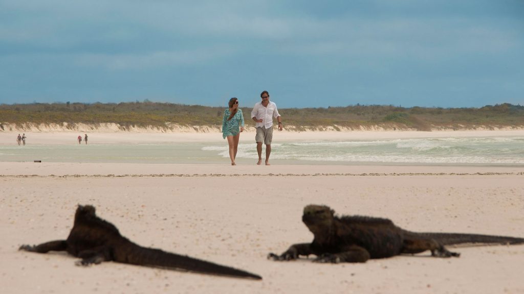6 day galapagos tour