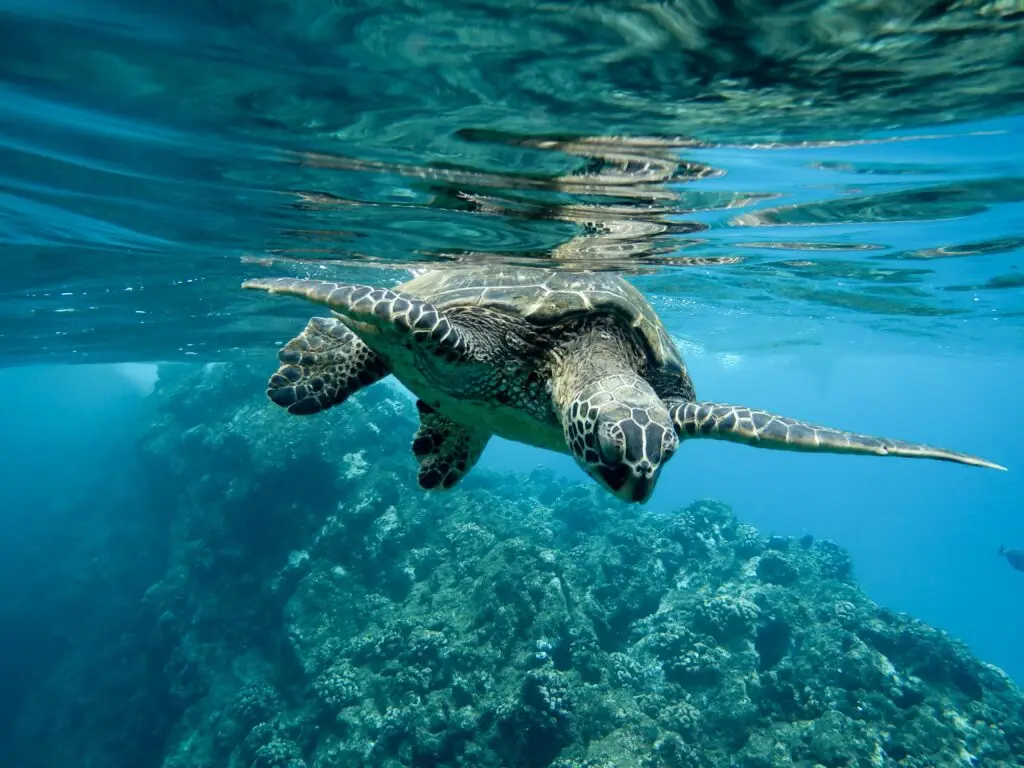 7 day galapagos diving and hiking