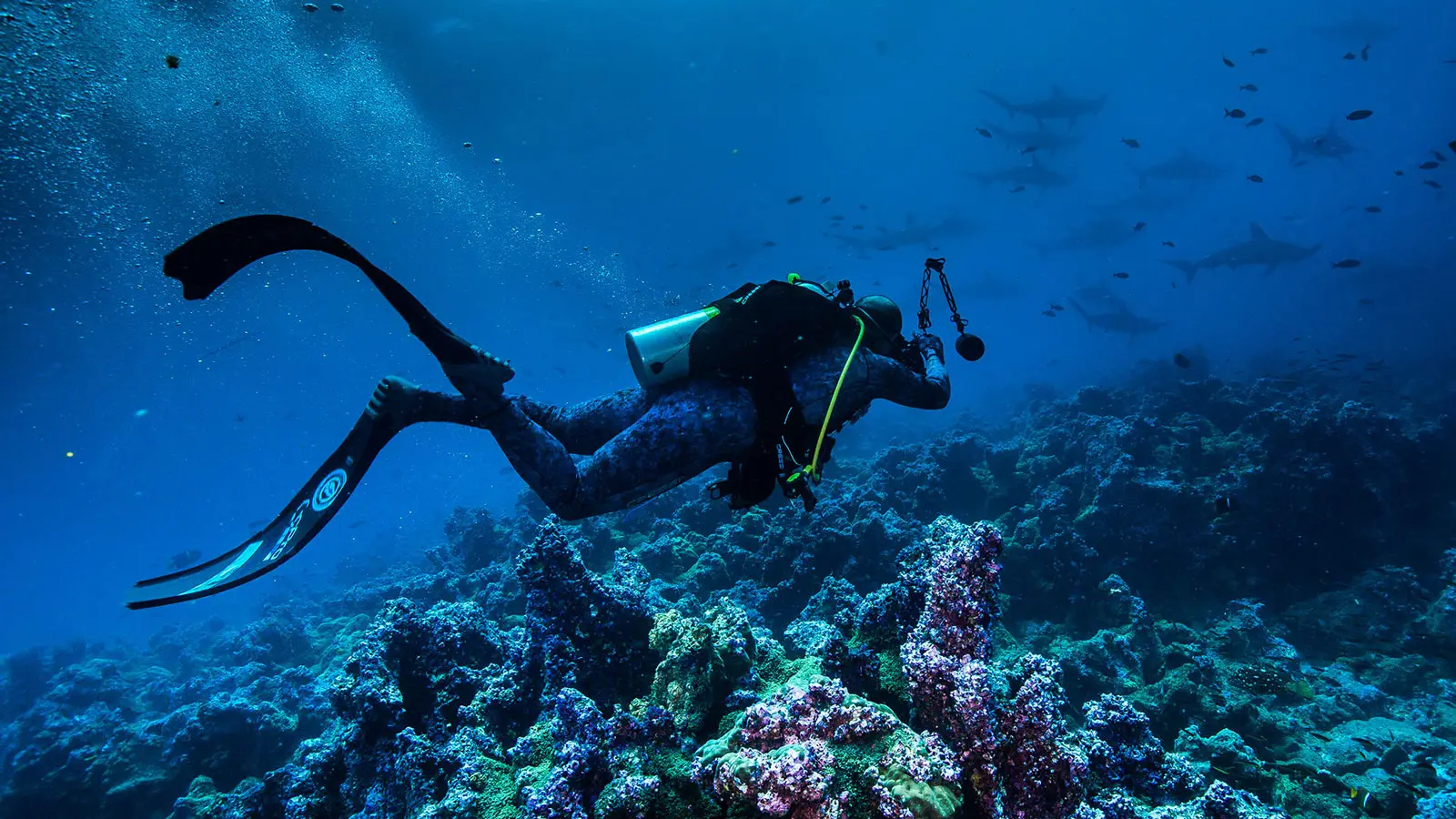 8 day galapagos multisport