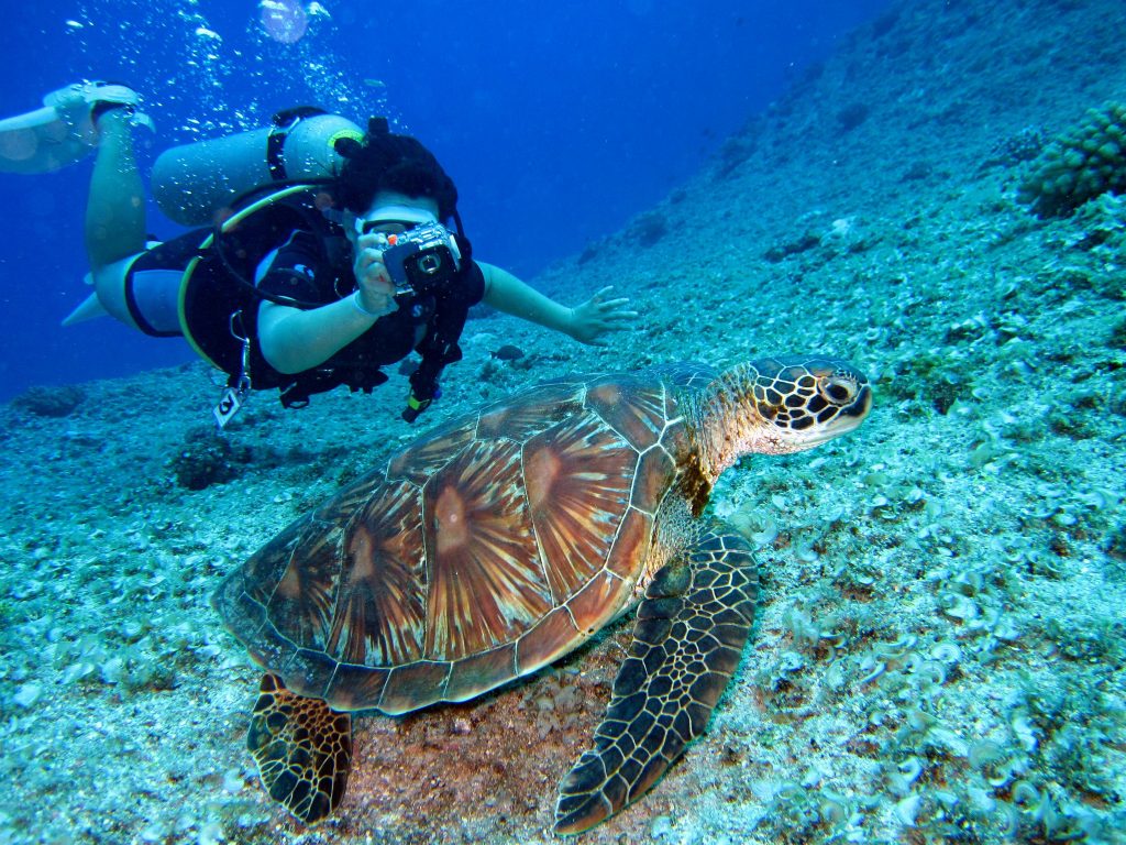 6-day Galapagos multisport adventure