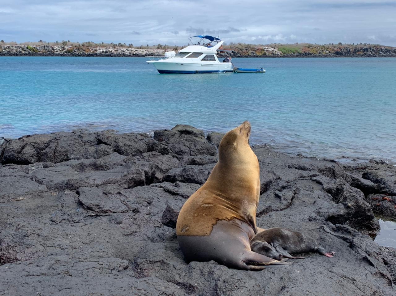 South Plaza Galapagos